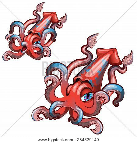Set Cartoon Squid Isolated On White Background. Vector Cartoon Close-up Illustration.