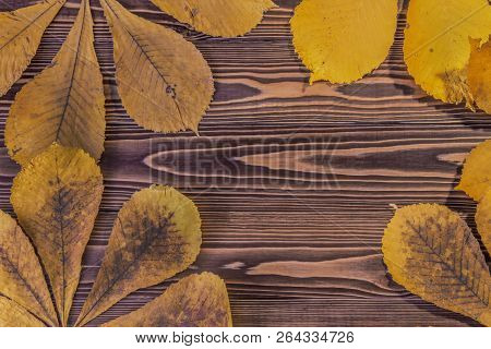 Autumn Leaves Of Chestnut On A Wooden Table