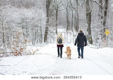 Happy Old Couple Walking Their Golden Retreiver Dog Through The Snow In A Forest Daytime
