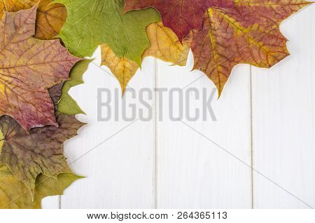 Outumnal Background, Texture, Frame With Leaves On Wooden