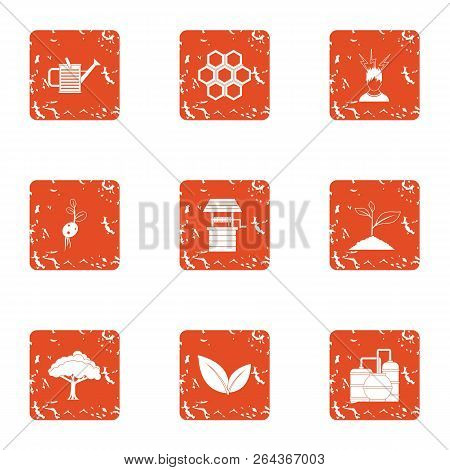 Bee Plantation Icons Set. Grunge Set Of 9 Bee Plantation Vector Icons For Web Isolated On White Back