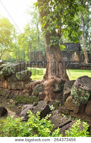 Tree Roots Grow Over Stone Castle In Meuang Sing Historical Park, Thailand.