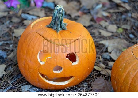 Jack O Lantern With Smile Sitting In Fall Leaves