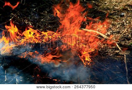 A Dancing Fire In A Fireplace On A Blurred Nature Background, A Fire Texture, A Red Flame.
