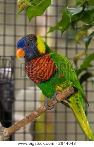 Waarschuwing vogels