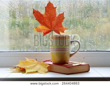 Bouquet of autumn maple leaves. Orange fallen leaves. Autumn bouquet. Leaves in a сup on the window. A cup of tea and a book on the window. Raindrops on the glass. Autumn rain and a сup of tea
