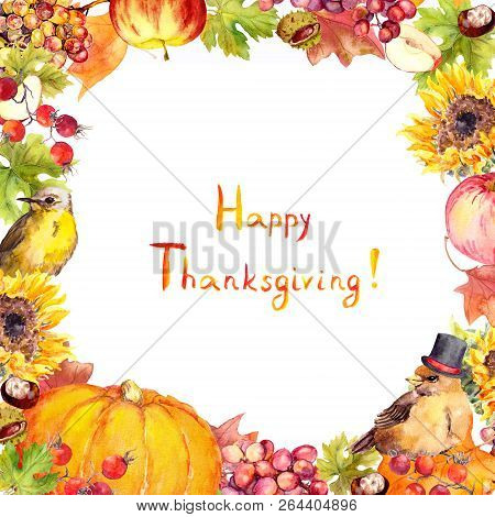 Thanksgiving Card - Birds, Fruits And Vegetables - Pumpkin, Apple, Grape, Nuts, Berries With Autumn 
