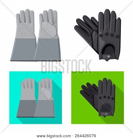 Vector Design Of Glove And Winter Symbol. Collection Of Glove And Equipment Vector Icon For Stock.