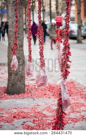Red Fire Crackers Stripes Hanging On Trees For The Chinese New Year