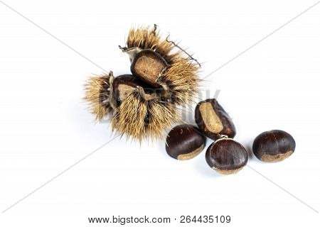 Some Mature Chestnuts On A White Table