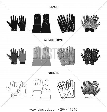 Vector Illustration Of Glove And Winter Symbol. Collection Of Glove And Equipment Stock Vector Illus