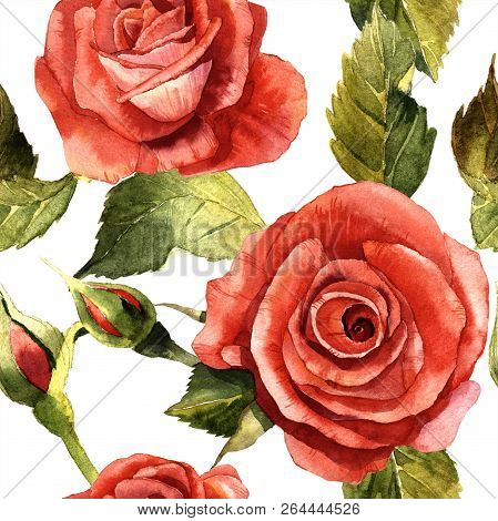 Watercolor Red Rose Flower. Floral Botanical Flower. Seamless Background Pattern.