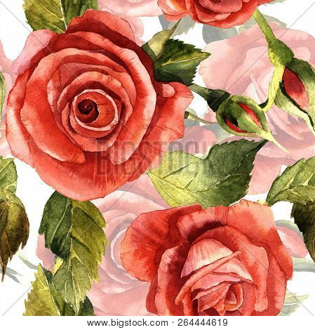 Watercolor Red Rose Flower. Floral Botanical Flower. Seamless Background Pattern.