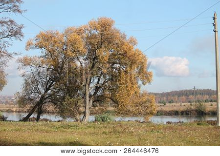 Beautiful Sunny Warm Autumn Day On The River Bank