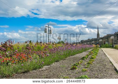 Flowers And Lights On The Waterfront In Bordeaux, France