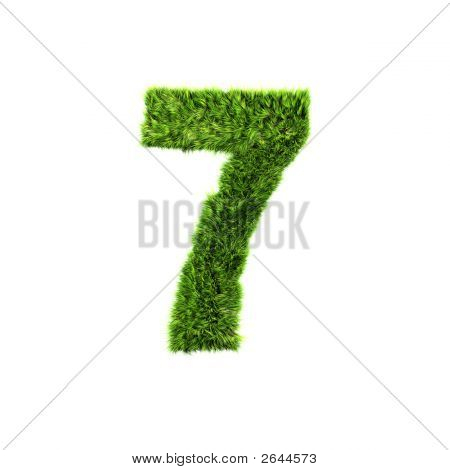 Grass Number