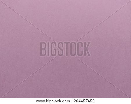 Paper Texture Art Blank Clear Decorative Cardboard Background Pink