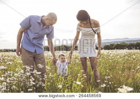 Parent Walking With Her Baby Son On Daisy Field At The Sunset Time