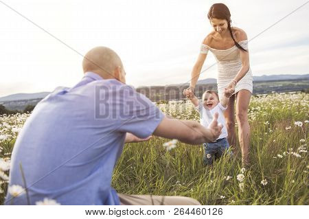 Parent Walking With Her Baby Son On Daisy Field At The Sunset Time