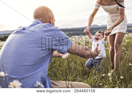 Parent Walking With Her Baby Son On Daisy Field At The Sunset Time