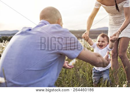Parent Walking With Her Baby Son On Daisy Field At The Sunset Time