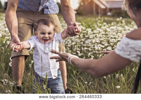 Parent Walking With Her Baby Son On Daisy Field At The Sunset Time