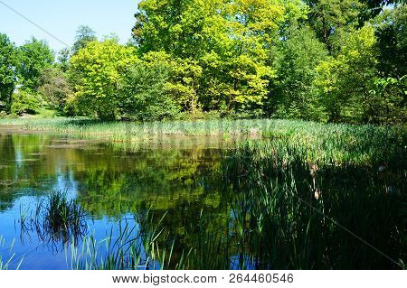Small Lake Near Radun Castle As Nice  Moravia Landscape