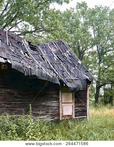 old wooden house in the forest