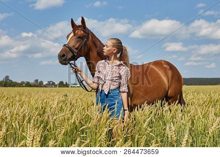 Girl Rider Stands Next To The Horse In The Field. Fashion Portrait Of A Woman And The Mares Are Hors
