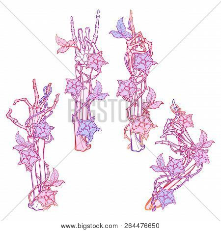 .set Of Skeleton Hands With Various Gestures Decorated With Dog-rose Garlands. Trendy Colored Line D