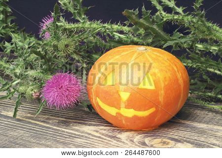 Halloween. Flashlight From Orange Round Pumpkin With A Burning Candle Inside And A Thistle Flower On