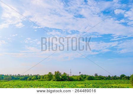 View Of Beautiful Clouds Sky With Meadow Green Tree And Plain Landscape Use For Wallpaper And Backdr