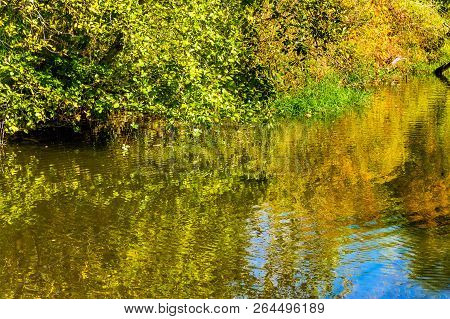 Green Yellow Reflection Water Abstract Issaquah Creek At Salmon Hatchery Issaquah Washington