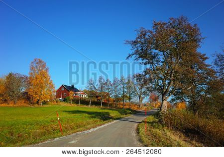 Ivarbyn, Sweden - 15 October, 2018: Autumn in Sweden, Countryside landscape with road, big tree, green field and traditional red wooden swedish house
