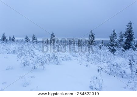 Frozen Landscape During Polar Night In Saariselka, Finland