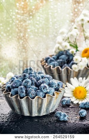 Summer Honeysuckle Berries In Metal Forms For Baking With Chamomile Flowers In Front Of Glass Window
