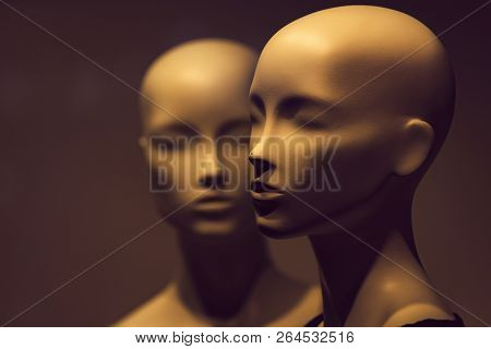 Fashion And Beauty, Shopping, No Makeup, Business, Partnership And Team Work, Ai, Robotic Technology