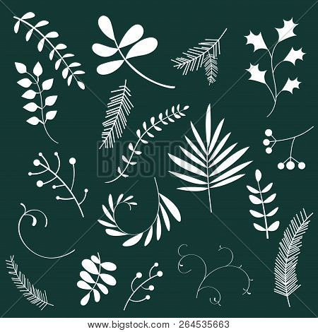Floral Set With Plants, Holly, Twigs. Outline Collection.