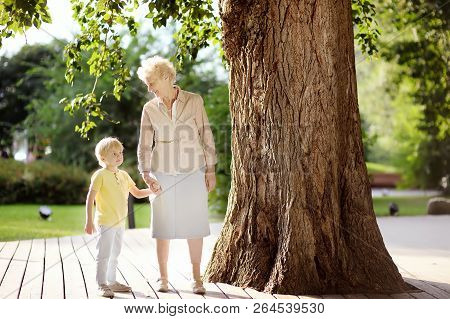 Beautiful Granny And Her Little Grandchild Together Walking. Grandma And Grandson Talking. Family Co