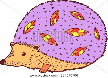 Cartoon Hedgehog - Colorful Graphic Drawing. Isolated Doodle Ele