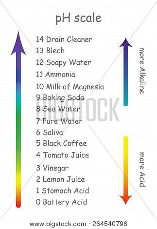Ph Scale With Product Names With Different Acidity. The Scale Is Arranged In The Form Of An Arrow Fr