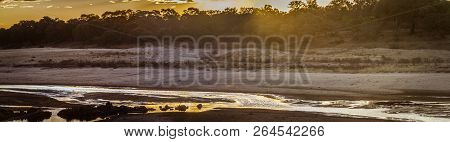 Sunset In Letaba River Landscape In Kruger National Park, South Africa