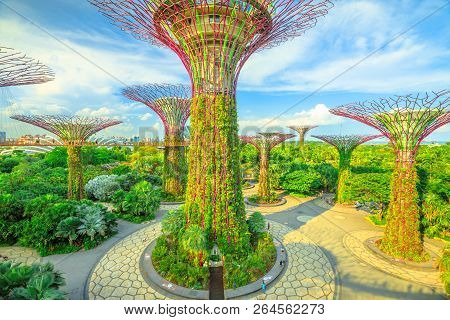 Singapore - April 29, 2018: Aerial View Of Supertree Grove At Gardens By The Bay On A Sunny Day With