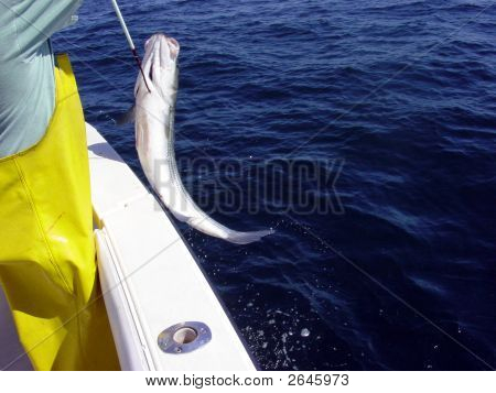 Die In The Big One