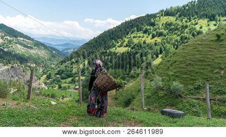 Artvin, Turkey - July 2018: Unidentified Woman In Local Outfit In Maden Village , Savsat, Artvin, Tu