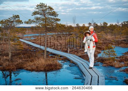 Young Mother With Her Little Daughter In A Baby Carrier Outside Walking On Trail In Swamp, Kemeri Na