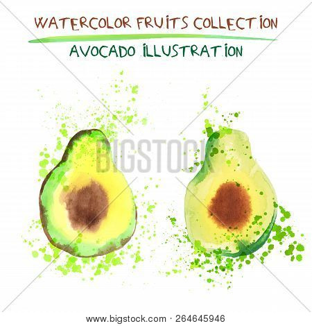Set Of Watercolor Avocado Vector Illustration. Splashed Hand Draw Avocado Isolated On White Backgrou