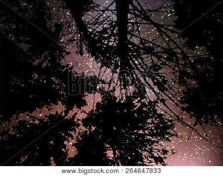 Night Starry Landscape Vector Background. Universe Illustration With Silhouette Of Trees And Hill. C