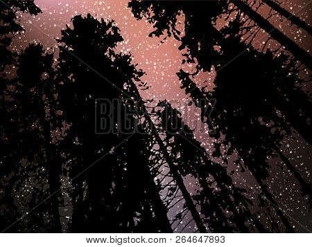 Night Starry Landscape Vector Background. Universe Illustration With Silhouette Of Trees And Hill. C