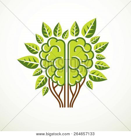 Tree Brain Concept, The Wisdom Of Nature, Intelligent Evolution. Human Anatomical Brain In A Shape O